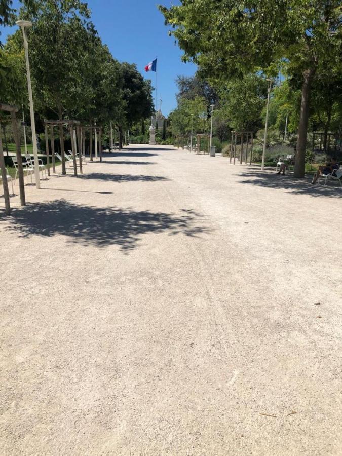 Magnifique T3 Dans Au Centre De Toulon